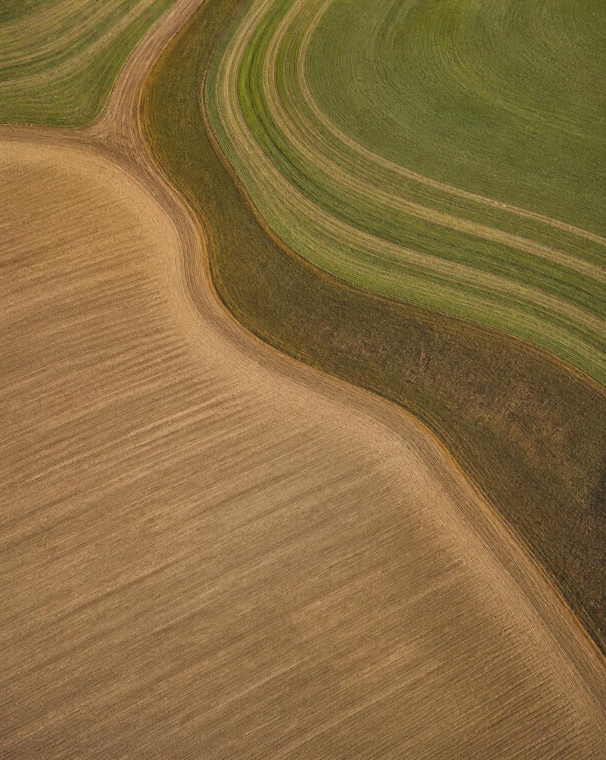 Food & Nature — abstract scientific and natural imagery