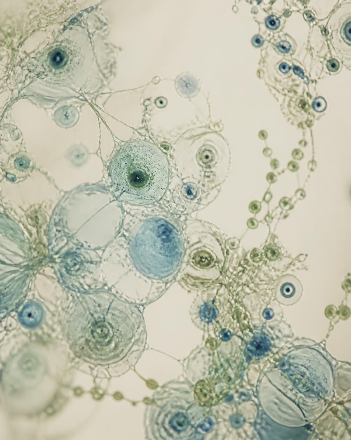 Human Health — abstract scientific and natural imagery